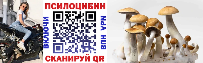 Псилоцибиновые грибы ЛСД  цены наркотик  Лахденпохья 